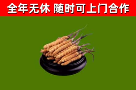 罗源县烟酒回收冬虫夏草.jpg